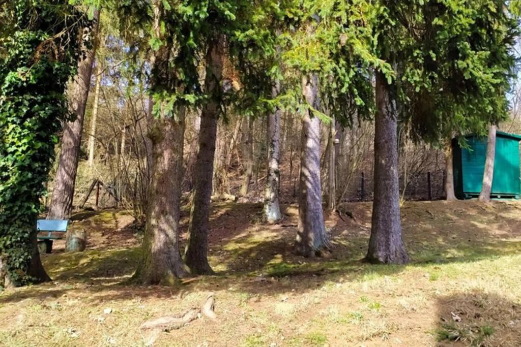 Refugium Klosterhaus Nettersheim Kültér fotó